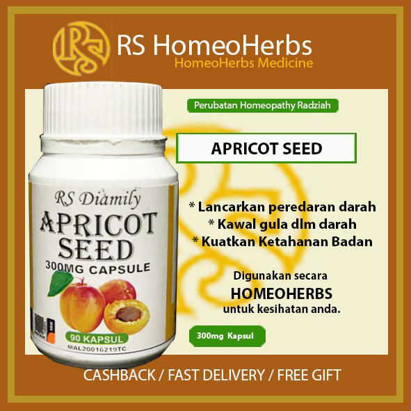 APRICOT SEED